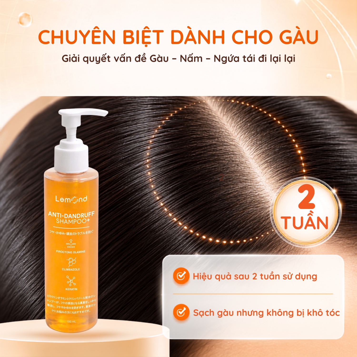 Mô Tả Sản Phẩm 1 (2)